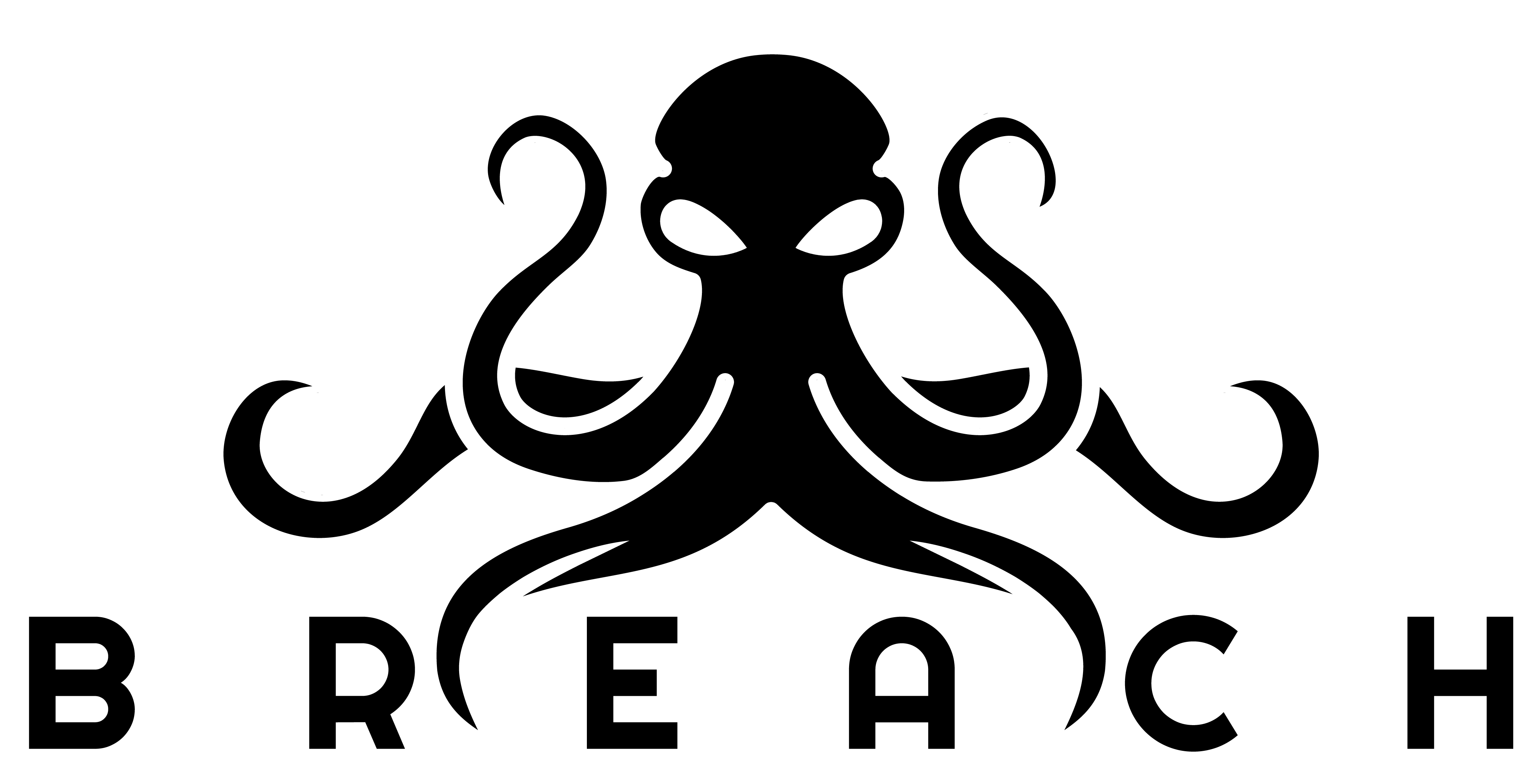 breach logo